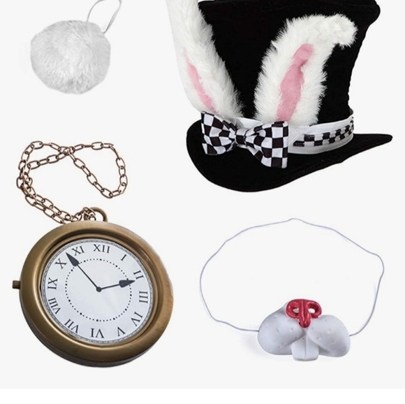 Amazon Costumes Alice In Wonderland Rabbit Costume Poshmark